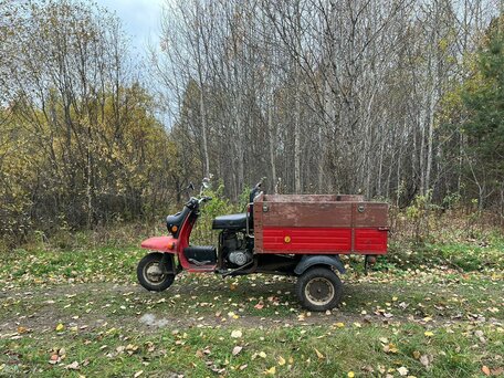 1998 ТМЗ (Туламашзавод) Рысь 6.903, красный, 65000 рублей, вид 2