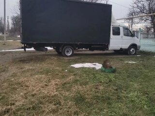 2007 ГАЗ ГАЗель (33023/330273) Фермер, белый, 900000 рублей, вид 2