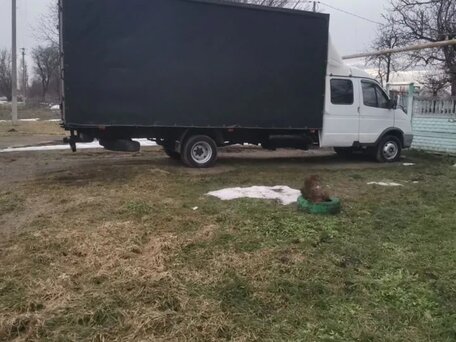 2007 ГАЗ ГАЗель (33023/330273) Фермер, белый, 900000 рублей, вид 2