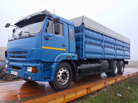 2012 КамАЗ 65117, синий, 2050000 рублей, вид 1