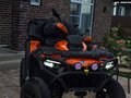 2025 CFMoto CFORCE 800 HO EPS, оранжевый, 1099000 рублей