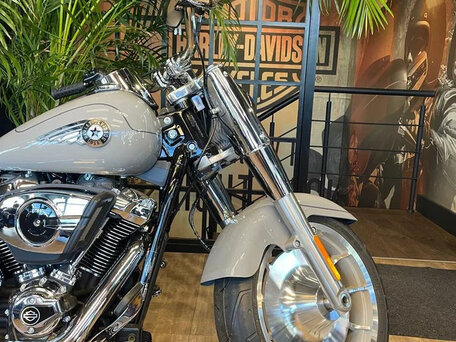 2025 Harley-Davidson Fat Boy, серебристый, 3850000 рублей, вид 2