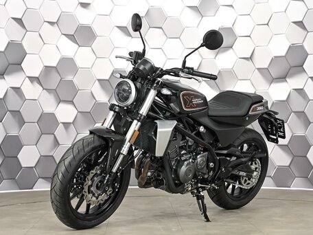 2024 Harley-Davidson X350, чёрный, 525000 рублей, вид 2