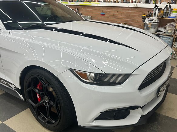 2016 Ford Mustang VI, белый, 2700000 рублей - вид 10