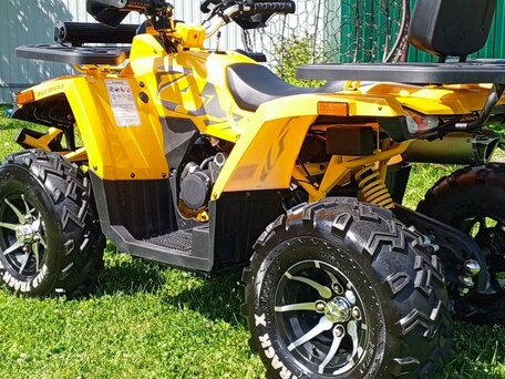 2024 Motoland Wild Track 200 X Pro, жёлтый, 220000 рублей, вид 4