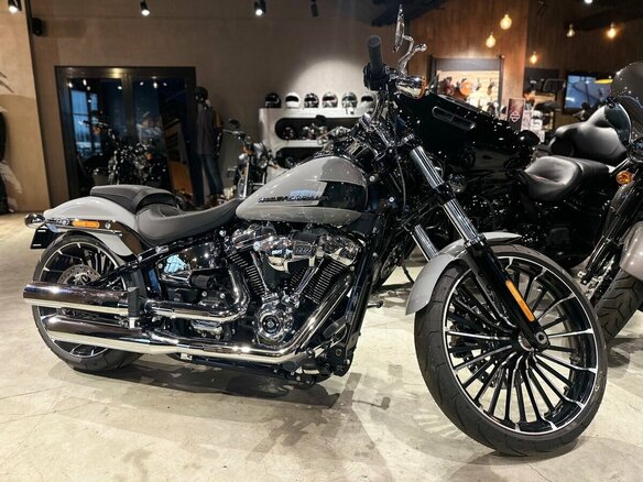2024 Harley-Davidson Breakout, серый, 3990000 рублей