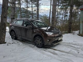 2017 Toyota RAV4 IV (XA40) Рестайлинг, коричневый, 1650000 рублей, вид 1