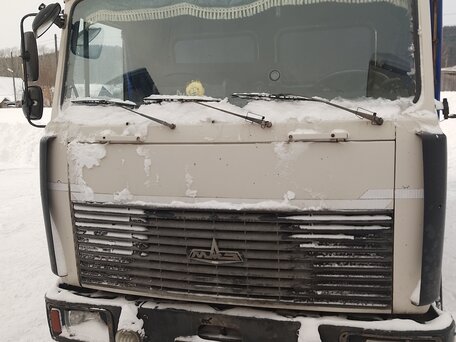 2004 МАЗ 4370, белый, 650000 рублей, вид 2