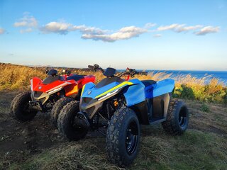 2025 Другие ATV (другие), красный, 115000 рублей, вид 2