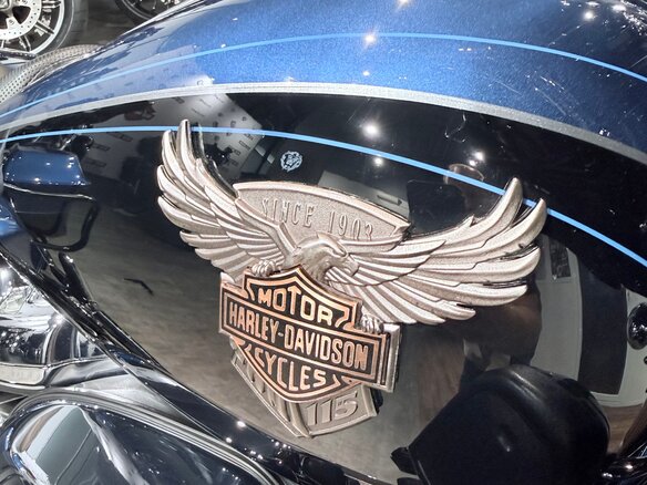 2018 Harley-Davidson Street Glide, синий, 1999000 рублей - вид 27