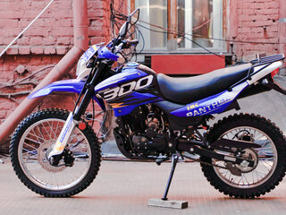 2025 Racer Panther, оранжевый, 166650 рублей, вид 2