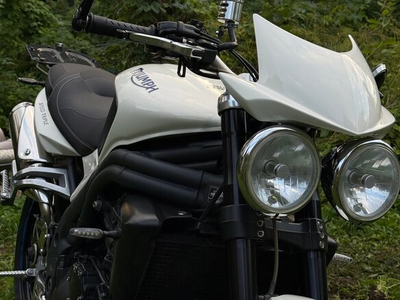 2008 Triumph Speed Triple, белый, 510000 рублей - вид 8