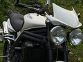 2008 Triumph Speed Triple, белый, 510000 рублей - вид 8