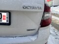 2017 Skoda Octavia Scout III (A7) Рестайлинг, белый, 2527000 рублей - вид 10