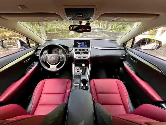 2020 Lexus NX 200 I Рестайлинг, белый, 2764000 рублей - вид 10