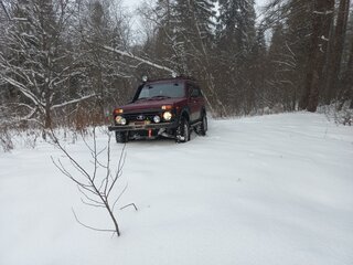 2002 Lada (ВАЗ) 2121 (4x4) I Рестайлинг, фиолетовый, 740000 рублей, вид 3
