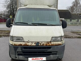 2001 Fiat Professional Ducato, белый, 350000 рублей, вид 2