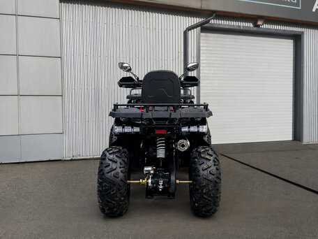 2026 Bison Warrior 200, чёрный, 162500 рублей, вид 5