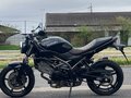 2024 Suzuki SV 650, чёрный, 677000 рублей