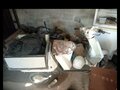 2003 Honda Gyro, белый, 40000 рублей - вид 2