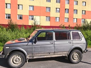 2007 Lada (ВАЗ) 2131 (4x4) Бронто-213102 I, серый, 305000 рублей, вид 2