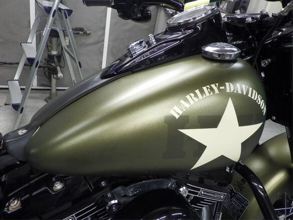 2016 Harley-Davidson Softail Slim, зелёный, 1160000 рублей - вид 9