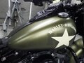 2016 Harley-Davidson Softail Slim, зелёный, 1160000 рублей - вид 9