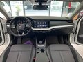 2023 Skoda Octavia IV (A8), белый - вид 7