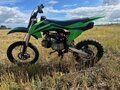 2020 BSE EX 125, зелёный, 50000 рублей