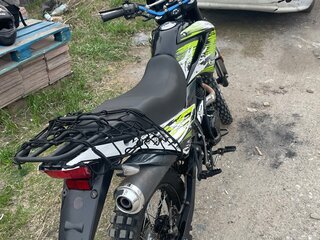 2020 Racer Panther, зелёный, 115000 рублей, вид 3