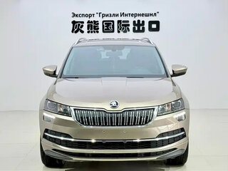 2022 Skoda Karoq DSG7 I, белый, 2040000 рублей, вид 5