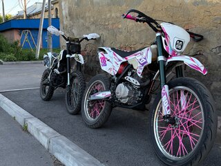 BSE Z2