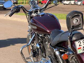 2007 Harley-Davidson Sportster 1200, коричневый, 565000 рублей, вид 4