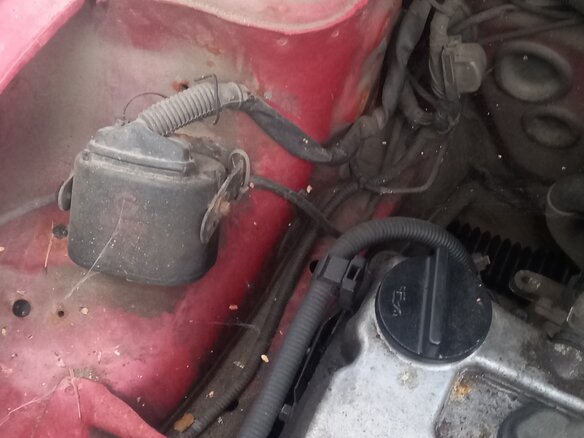 2000 Nissan Micra II (K11), красный, 85000 рублей - вид 3