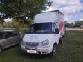 2004 ГАЗ ГАЗель (3302), белый, 240000 рублей - вид 5