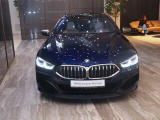2020 BMW 8 серии Gran Coupe M850i xDrive II (G14/G15/G16), синий, 10680000 рублей, вид 2