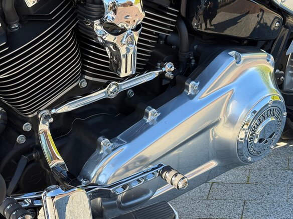 2020 Harley-Davidson Fat Boy, коричневый, 2450000 рублей - вид 10