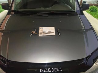 2009 Lada (ВАЗ) Kalina I, серебристый, 159000 рублей, вид 3