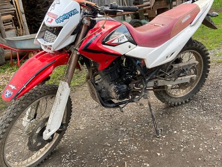 2016 Irbis TTR 250, красный, 80000 рублей, вид 1