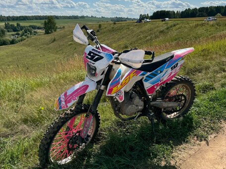 2023 BSE Z2, розовый, 110000 рублей, вид 2