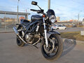 2008 Suzuki SV 650, серебристый