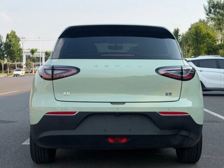 2025 Geely Geome Xingyuan 30.12 kWh, зелёный, 1410000 рублей, вид 5