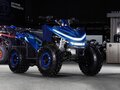2026 Sharmax Cross, синий, 132900 рублей - вид 5