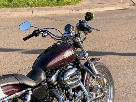 2007 Harley-Davidson Sportster 1200, коричневый, 565000 рублей, вид 2