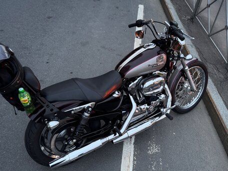 2007 Harley-Davidson Sportster 1200, пурпурный, 610000 рублей, вид 2