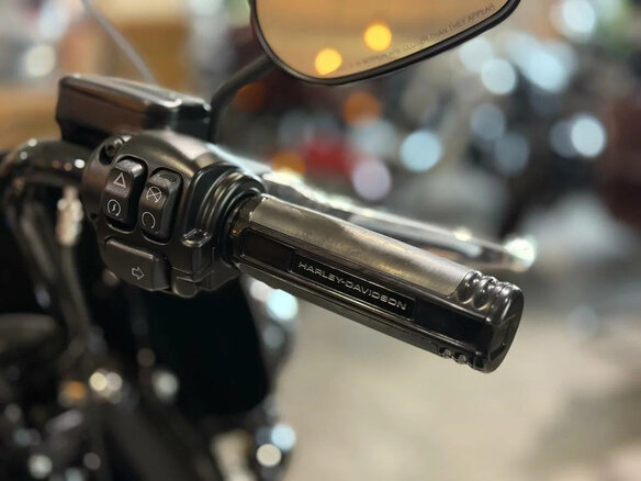 2022 Harley-Davidson Heritage, бежевый, 2050000 рублей - вид 13
