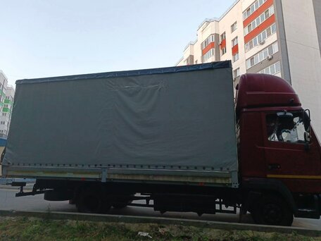 2012 МАЗ 4371, красный, 1050000 рублей, вид 3