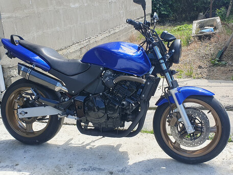 2002 Honda CB 600F Hornet, синий, 385000 рублей, вид 3