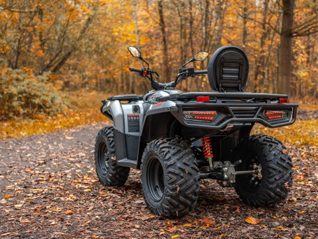 2026 Loncin XWolf 300, серый, 485000 рублей, вид 2