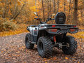 2026 Loncin XWolf 300, серый, 485000 рублей - вид 1